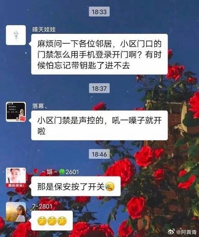 Word文档图片