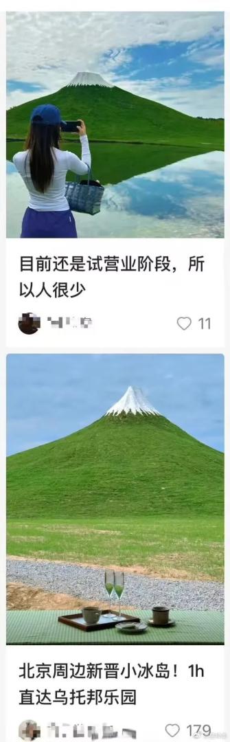 Word文档图片